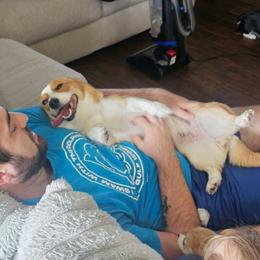 Pumpkin 🎃 - Pembroke Welsh Corgi