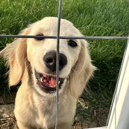 Marley