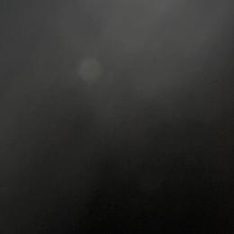 Blue girl - Blue merle female Australian Shepherd puppy in Loganville, Georgia from Howell Aussies