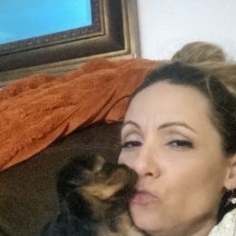 Yorkshire Terrier Puppies from Cutest AKC Arizona Yorkies