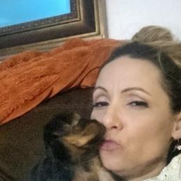 Yorkshire Terrier Puppies from Cutest AKC Arizona Yorkies