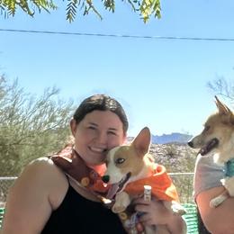 Pembroke Welsh Corgis from London Bridge Corgis