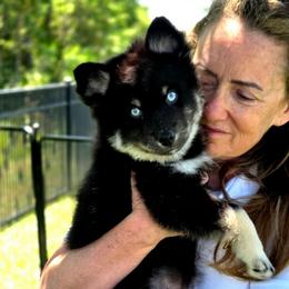Mikayla - Black and white female Pomsky puppy in Orlando, Florida from Way too cute Pomskies