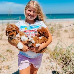 Goldendoodle Puppies from First Coast Goldendoodles