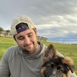 German Shepherd Puppies from Bidwell Knight Shepherds
