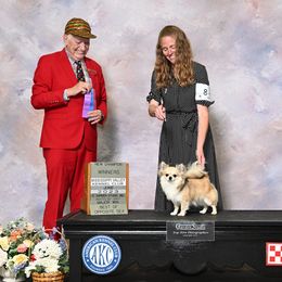 Bellagio - Chihuahua