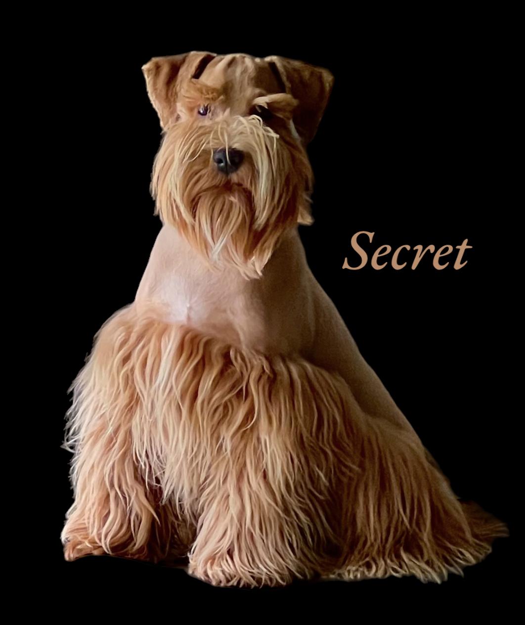 Secret