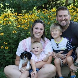 Cavalier King Charles Spaniel Puppies from CK Cavaliers