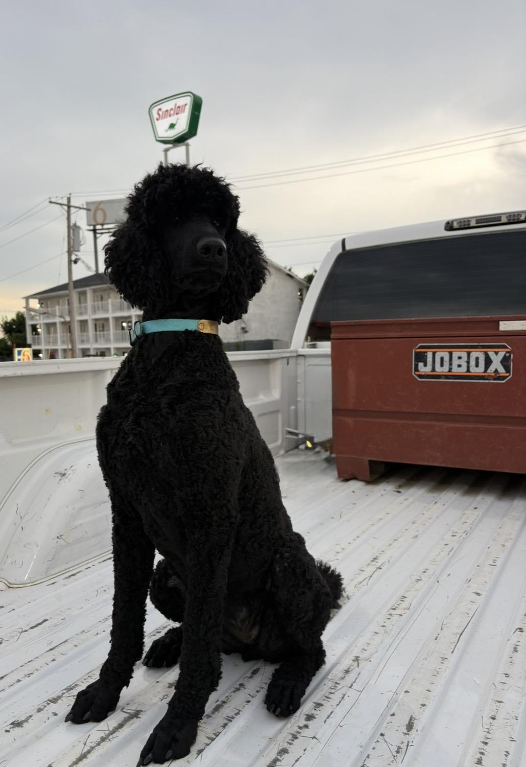 Jade