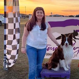 Border Collies from Reedy River Border Collies
