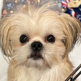Roary - Mi-Ki