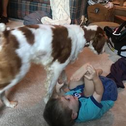 Nala - Brittany
