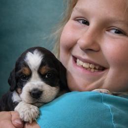 Peach - Tri-Roan female English Springer Spaniel puppy in Florida from Thunderbird Springers