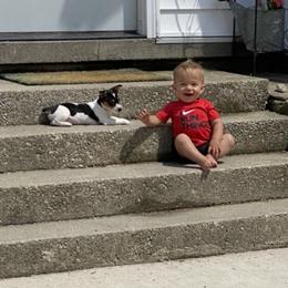 Teddy Roosevelt Terrier Puppies from Big Grove Farms