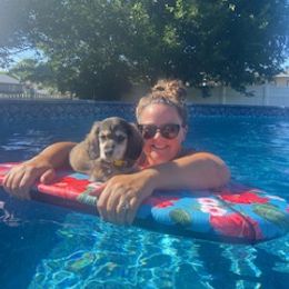 Dachshund Puppies from M & M Breeding