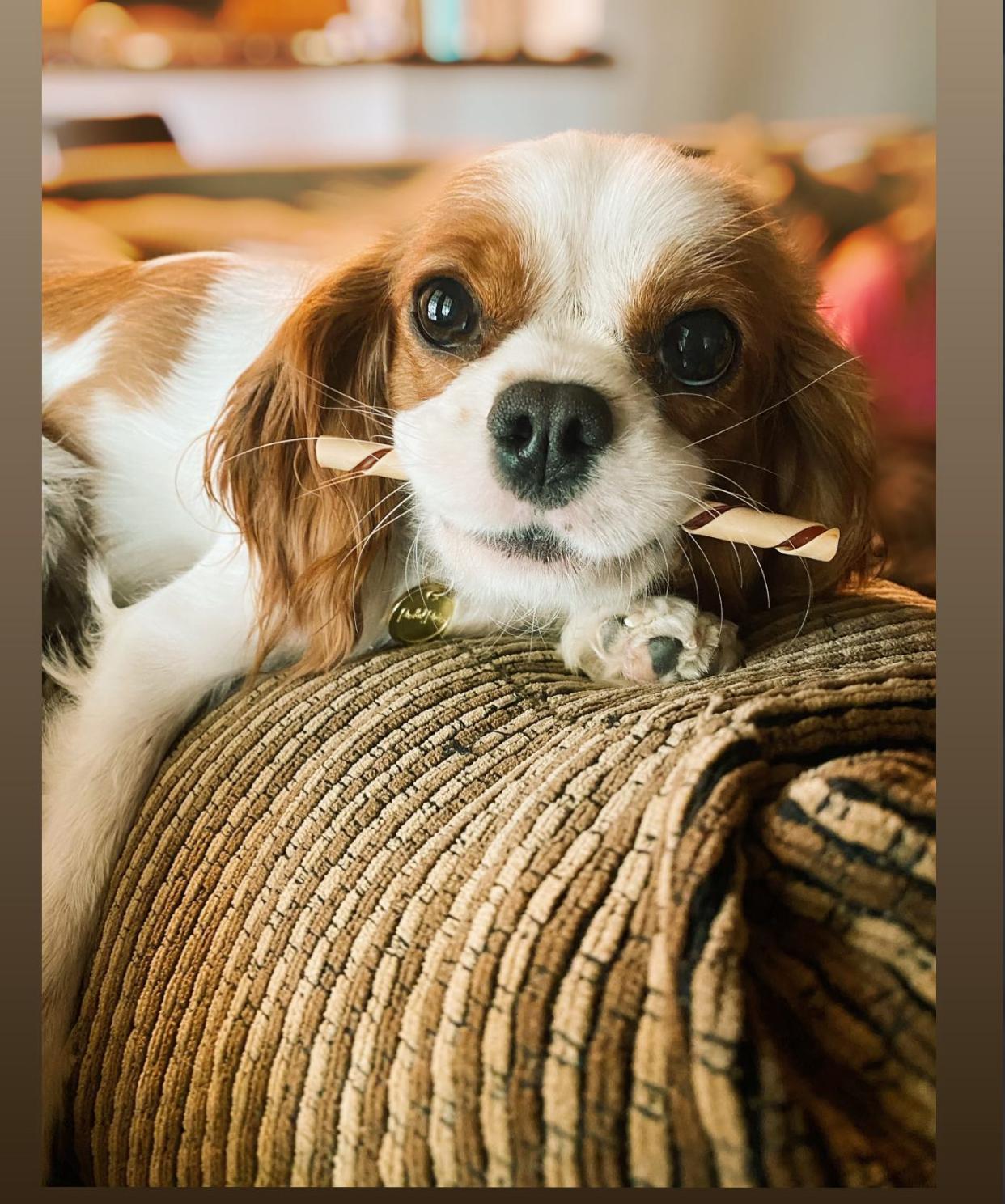 Dottie