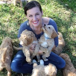 Goldendoodle Puppies from The Doodle Spot