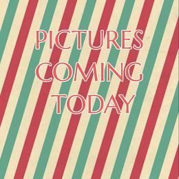 Name TBD - Brown female Shihpoo puppy in Coshocton, Ohio from Forever Family Puppies