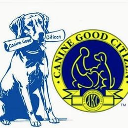 Golden Retriever Puppies from Mountain Sky Goldens