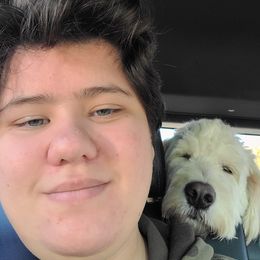 Goldendoodle Puppies from Pearl's Puppies LLC