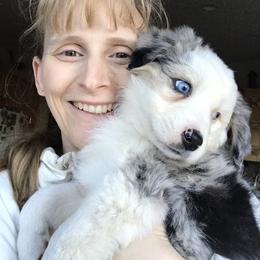 Aussiedoodle, Australian Shepherd, Dachshund, and Miniature Australian Shepherd Puppies from Bline’s Awesome Aussies & Doxies at the Bline Family Farm