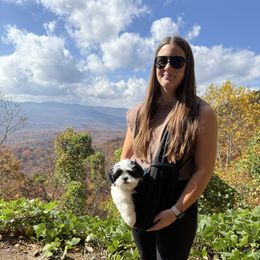 Dallas - Black and white male Shihpoo puppy in Cumming, New York from Nell’s Doodle & Dolls