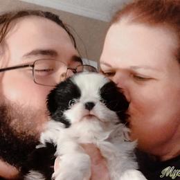 Japanese Chin Puppies from Mystike Japanese Chin