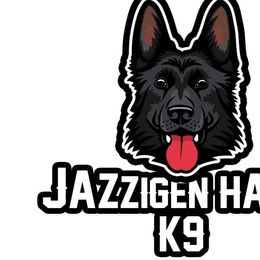 German Shepherds from Vom Jazzigen Haus