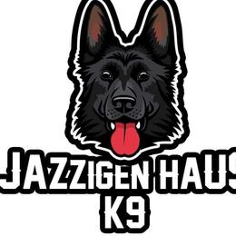 German Shepherds from Vom Jazzigen Haus