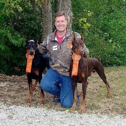 Doberman Pinscher Puppies from RMH Dobermans