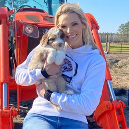 Aussiedoodle Puppies from Gore Doodle Ranch