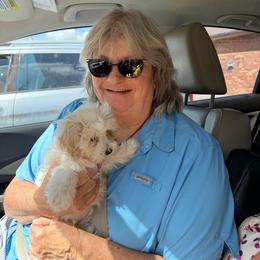 Austin - Parti male Maltipoo puppy in Lawrenceburg, Tennessee from LUV Poodles and Maltipoos