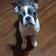 Dolly Mae