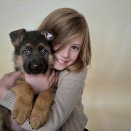 German Shepherd Puppies from Sonnenfeld Shepherds