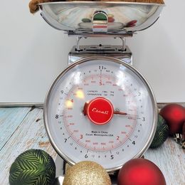 Boy 2 - Poodle puppy in Inman, South Carolina from Raynebow Rose Poodles