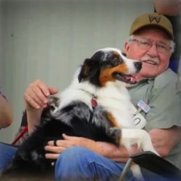 Miniature American Shepherds and Miniature Australian Shepherds from Rocking 2R Kennel