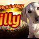 Lilly