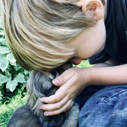 Dachshund Puppies from Hidden Haven Dachshunds