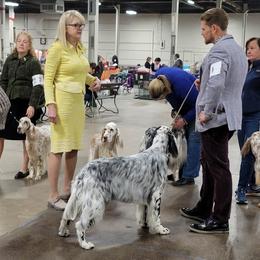 English Setter Puppies from BIRDHAVEN