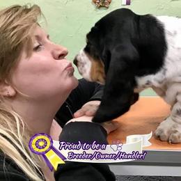 Basset Hound Puppies from Honey Moon Hounds
