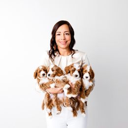 Goldendoodle Puppies from Ritzy Creek Doodles