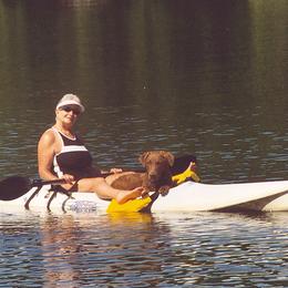 Chesapeake Bay Retrievers from Pond Hollow Chesapeakes