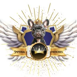 French Bulldog puppies from Imperial Frenchies