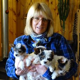 Yorkshire Terriers from Mile High Yorkshire Terriers
