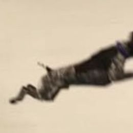 German Shorthaired Pointer All Grown Up from Aus Dem Norden GSP’s