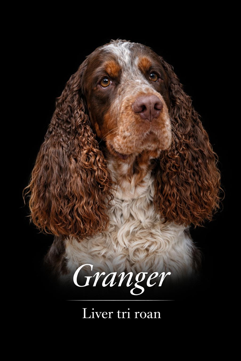 Granger
