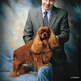 Cavalier King Charles Spaniel Puppies from Castlemar Cavaliers