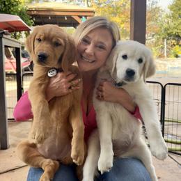 Golden Retriever Puppies from Golden Haven