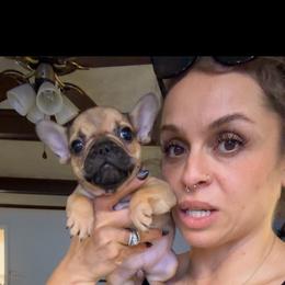 Thumbelina - Fawn female French Bulldog puppy in Roanoke Rapids, North Carolina from Ferrell’s Frenchies