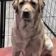 Kracker